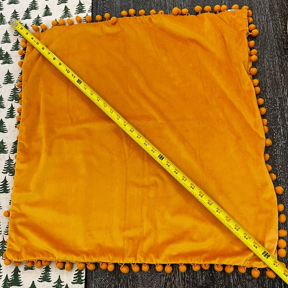 Set of 4 26x26 Velvet Throws with pompoms-cases only - Picture 3 of 4